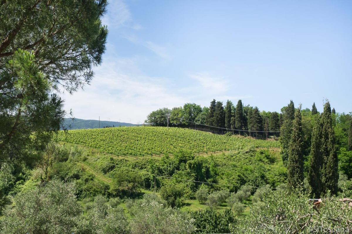 Agriturismo Terre Di Toscana Terricciola Eksteriør billede