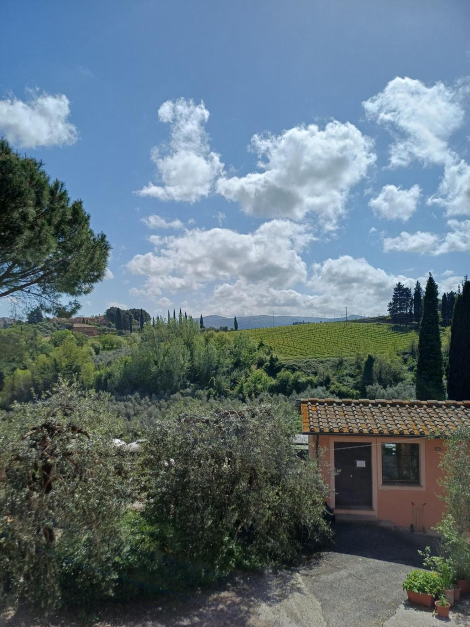 Agriturismo Terre Di Toscana Terricciola Eksteriør billede